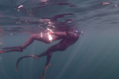 P8273510